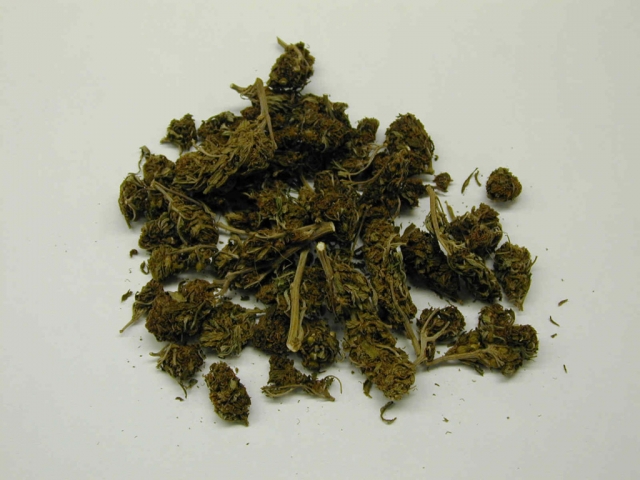 80 грамм конопли за или против легализации марихуаны