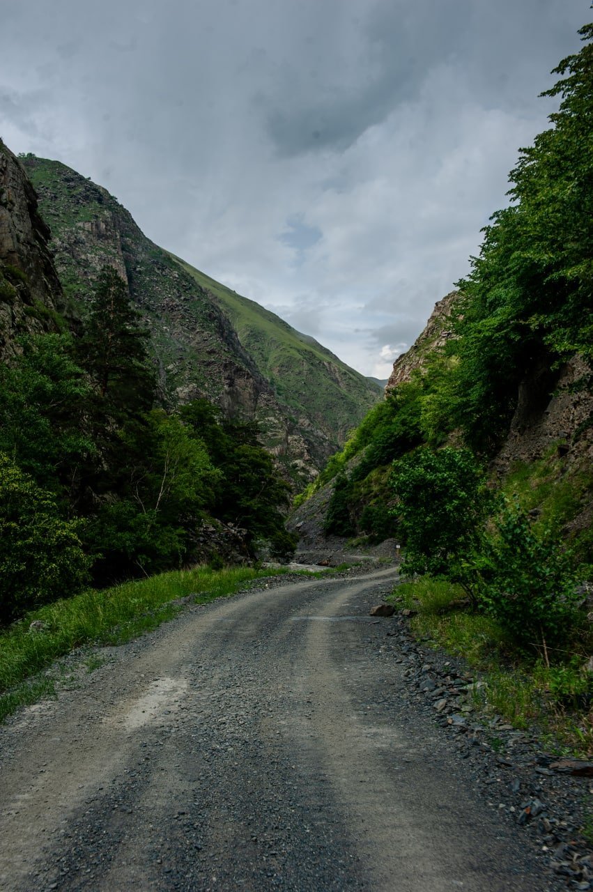 Ведено дорога. Дорога Чечня Грузия. Дорога в Шатой. Панкисское ущелье в Грузии. Дорога из Грозного в Итум Кали.