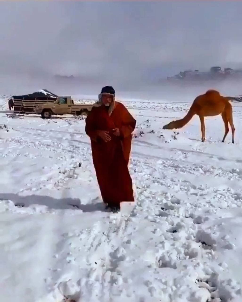 саудовская аравия снег