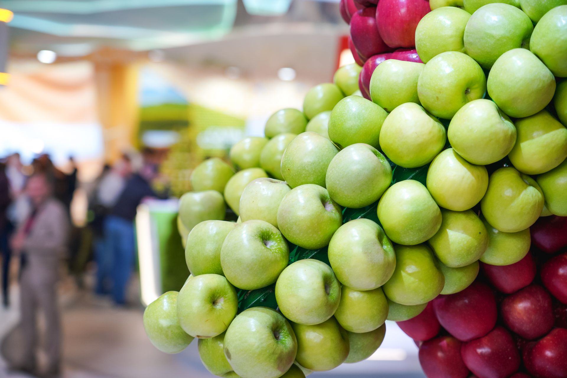 агрофирма луч. агрофирма луч. болоболов агрофирма луч. агрофирма луч. агрофирма луч платоново шалинский район.